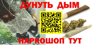 прущие грибы Ставрополь