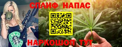 прущие грибы Ставрополь