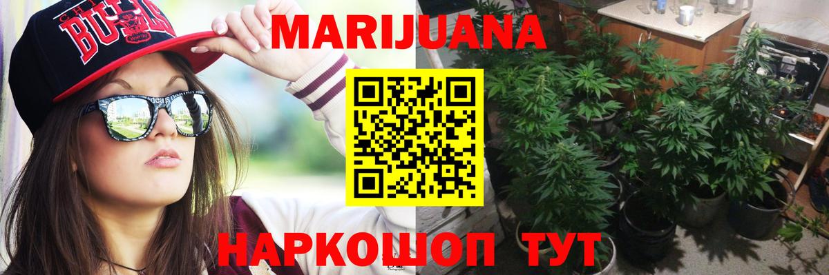 Бошки марихуана план  Вход с VPN  Шишки марихуана конопля  Первоуральск 